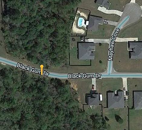 3rd image of 10000 Black Gum Ln