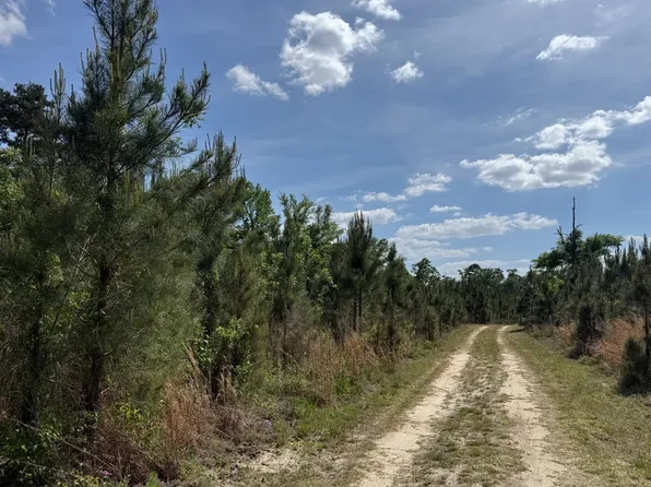 C Williams Rd, Jakin, GA 39861