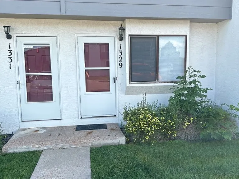 1329 Soaring Eagle Dr — Photo 1