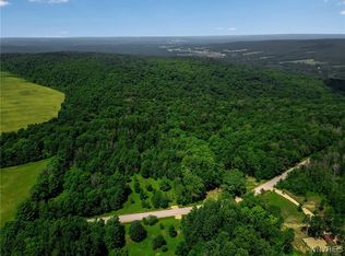 0 Snake Run Rd, East Otto, NY 14729