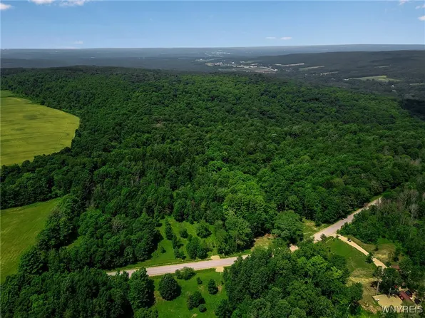 0 Snake Run Rd, East Otto, NY 14729