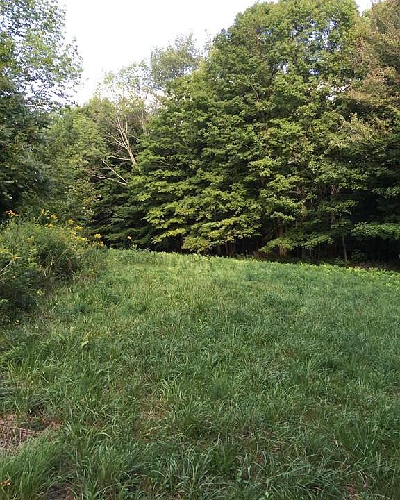 2nd image of 0 County Rd