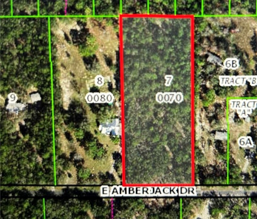 1st image of 1561 E Amberjack Dr