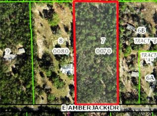 1561 E Amberjack Dr, Hernando, FL 34442