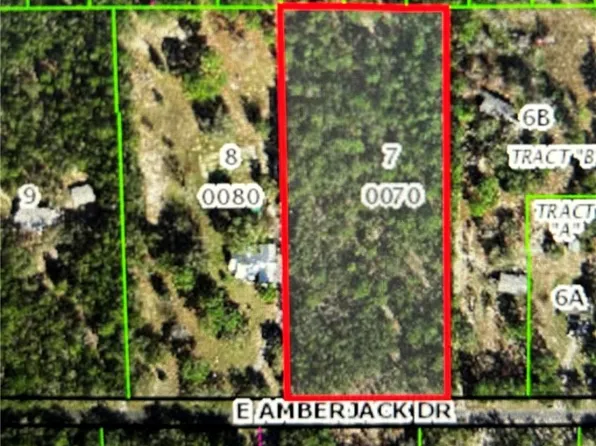 1561 E Amberjack Dr, Hernando, FL 34442