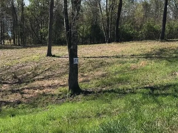 10 Piney View Dr, Spring City, TN 37381