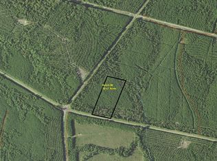 TRACT 38 Highway 83, Pineland, TX 75968