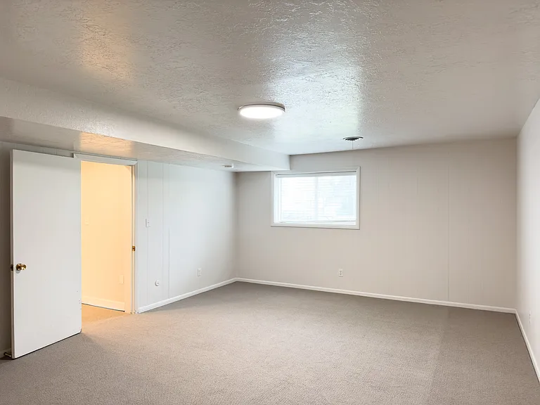 Basement north bed/living room
