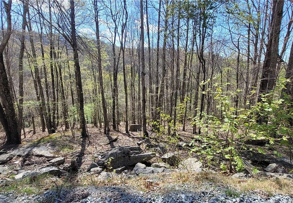 1st image of 236 Wild Daisy Lane