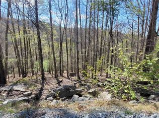 236 Wild Daisy Lane, Beech Mountain, NC 28604