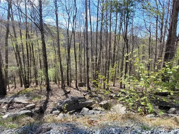 236 Wild Daisy Lane, Beech Mountain, NC 28604