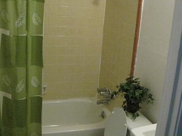 austin-texas-29409579 picture