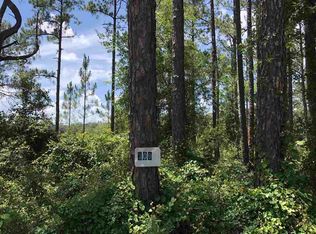 309 Lake Como Dr, Pomona Park, FL 32181