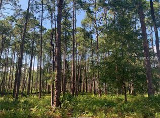 111 Cane Cutter Rd, Bluffton, SC 29910