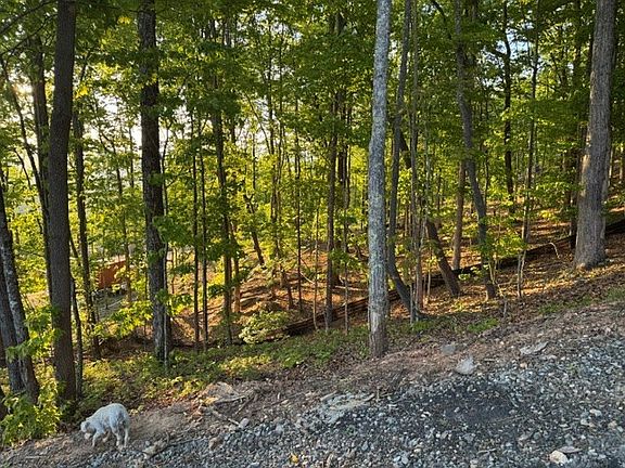 3rd image of LOT 239 Kittatinny Dr