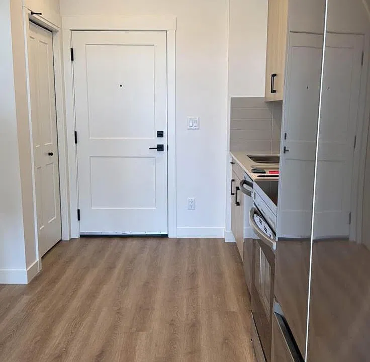 Dining area, entrance, closet, fridge