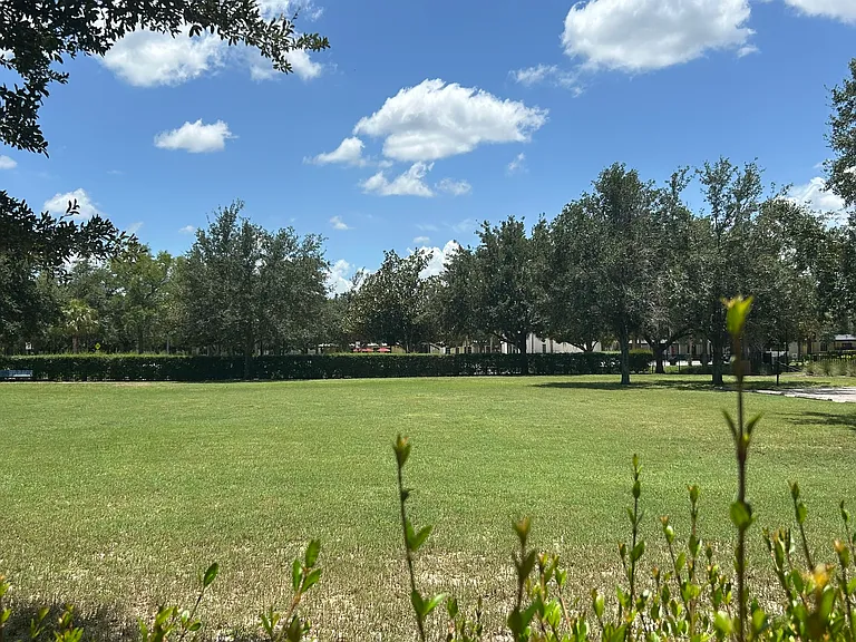 Cross Park. Perfect for kids.
