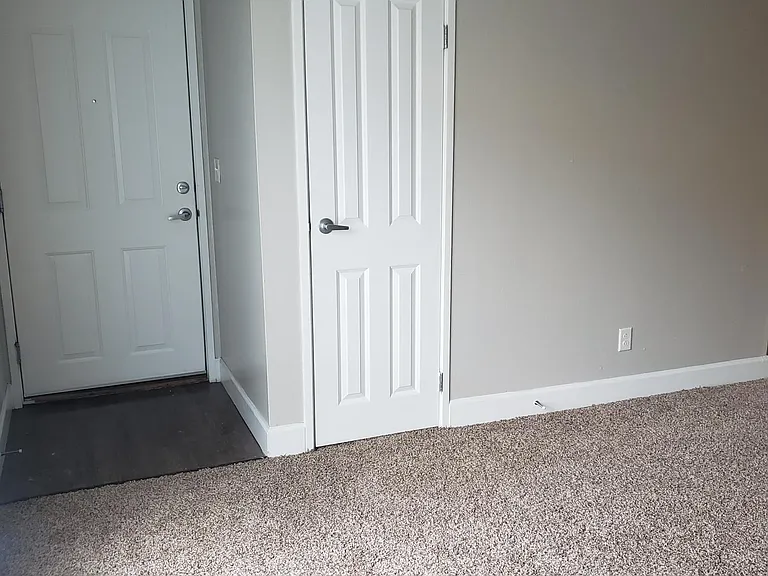 2x1 Entry Door