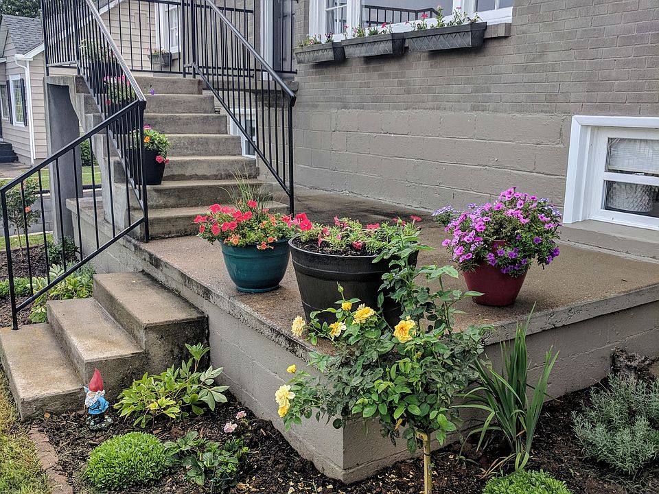 New flower bed/perennials 