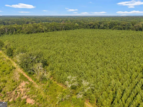 Allen Turkey Creek Rd Lot B, Danville, GA 31017