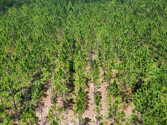Dji Fly 20260430 125520 318 1777571551424 Photo Optimized