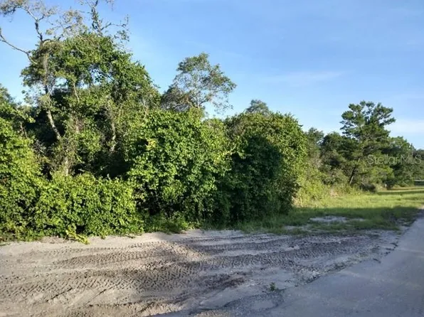 TBD SEQUOIA TRAIL TRACK LOT 2, OCKLAWAHA, FL 32179