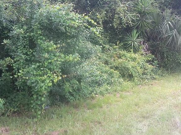 5th image of 17173 Hillsborough Blvd