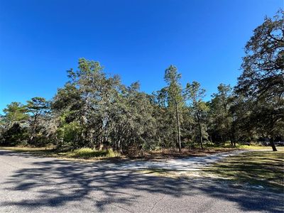 11056 Flatwood Ave #4, Brooksville, FL, 34613
