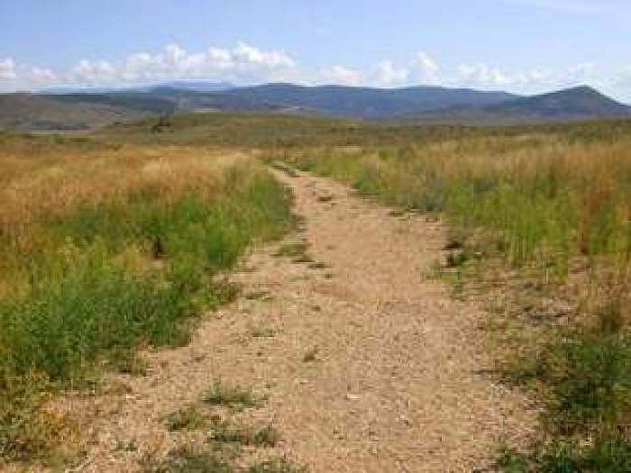 Adjacent to trails