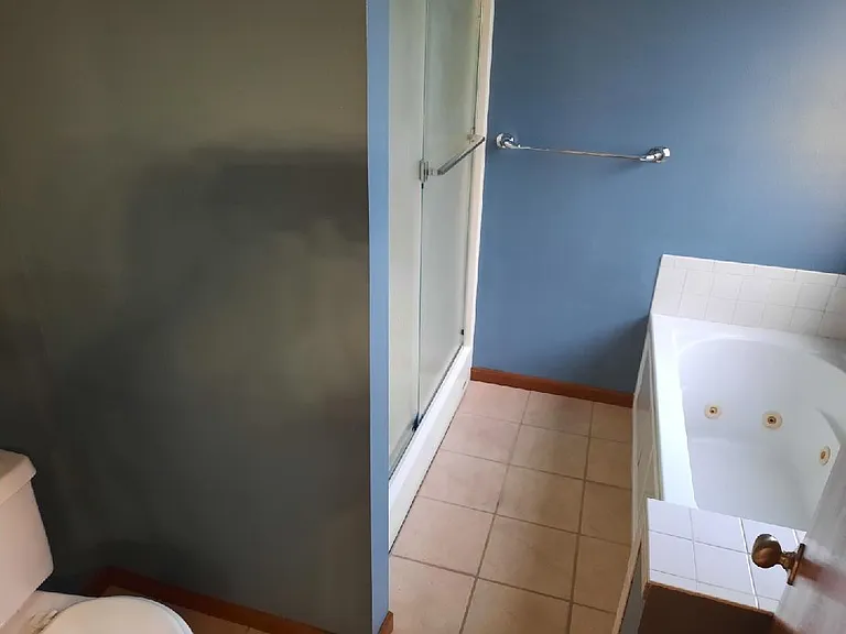 Downstairs bathroom