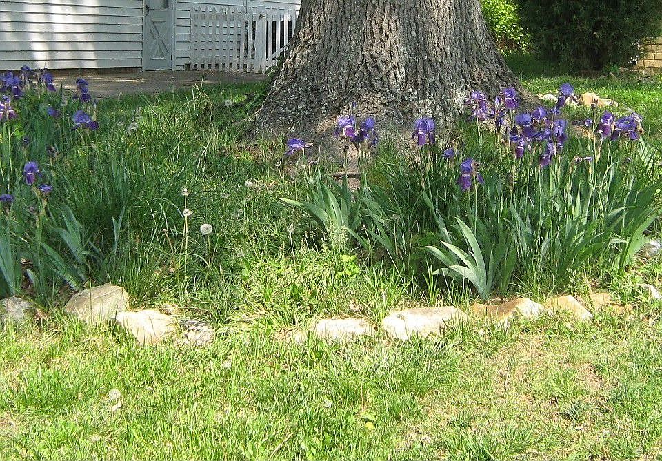 2nd image of 7413 Long Pine Dr
