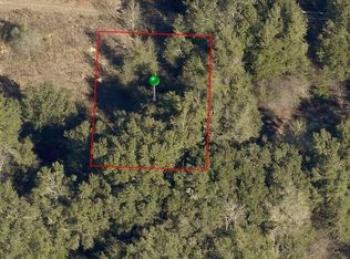 2407 Reagan St, Inverness, FL 34453