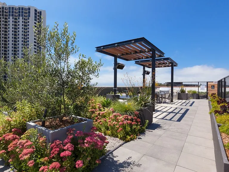 Rooftop Lounge
