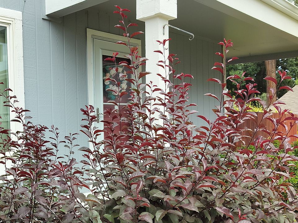 Front porch area