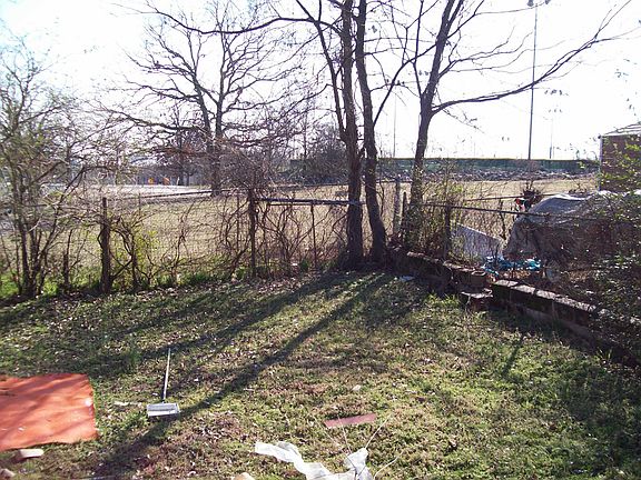 back yard