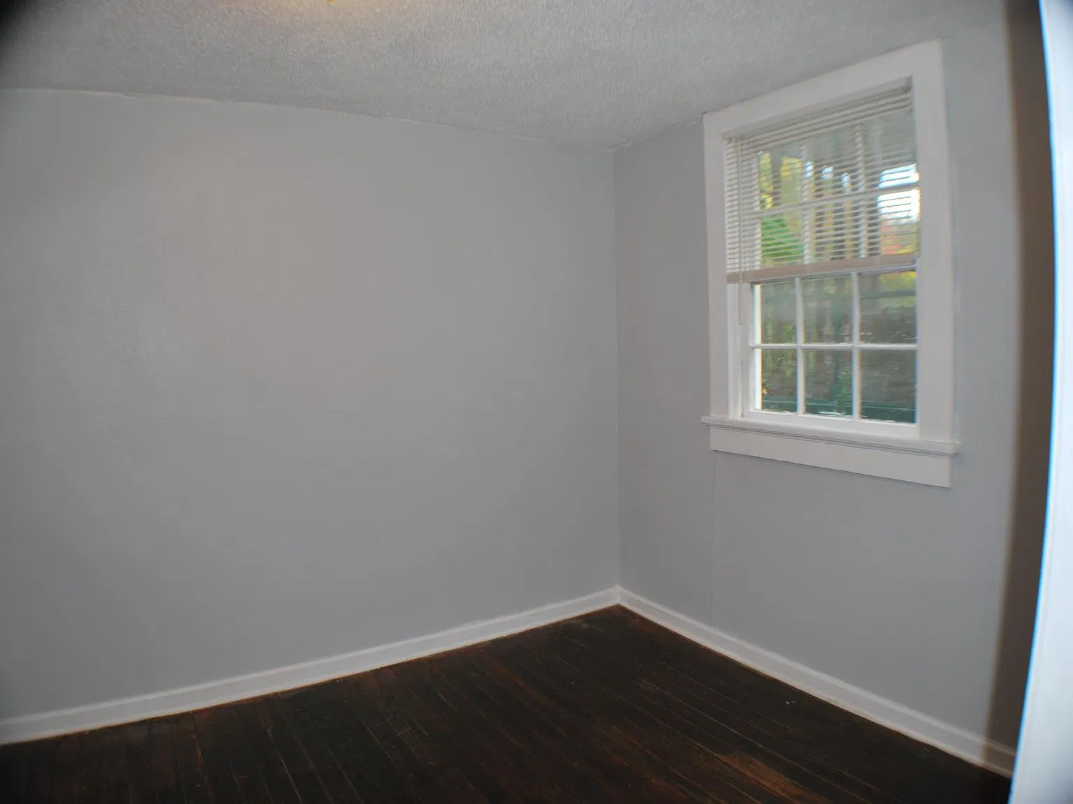 1 bed, $1,150 — Photo 3