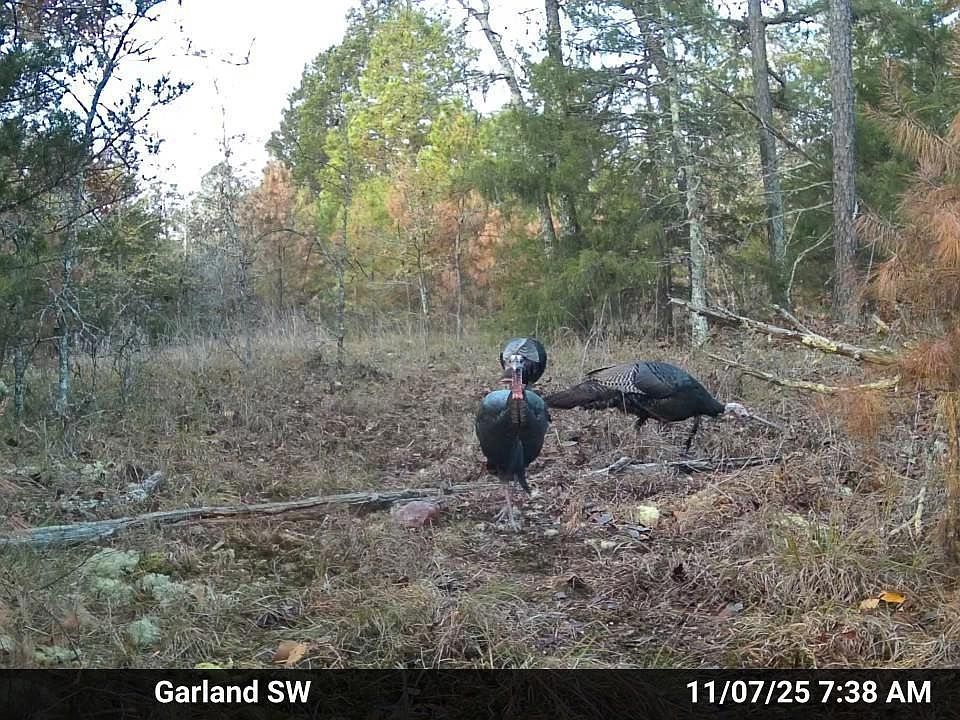 1st image of 0 Old Dolph Rd