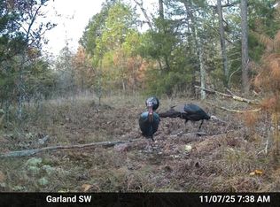 0 Old Dolph Rd, Pineville, AR 72566