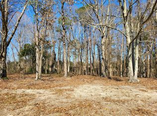LOT 1 Santee Lumber Rd, Santee, SC 29142