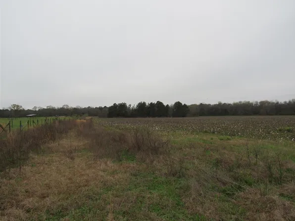 141 Williams Cir, Elko, GA 31025