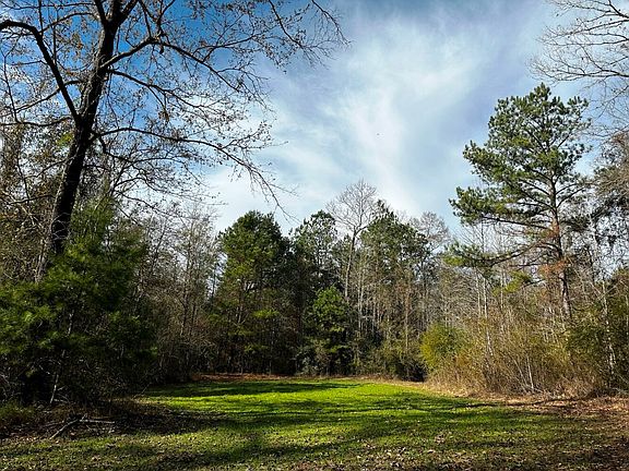 Main food plot