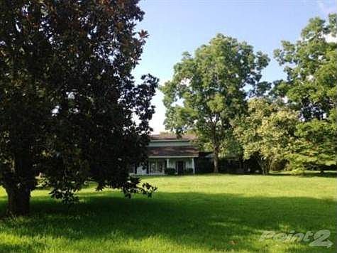 Front yard
