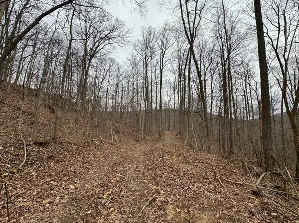 0 Hardwood Rd, Wallingford, KY 41093