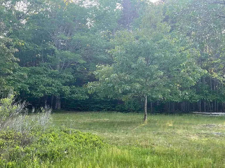 67 Eastside Rd — Photo 16