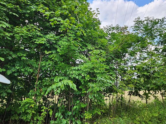 3rd image of 0 Musson Rd