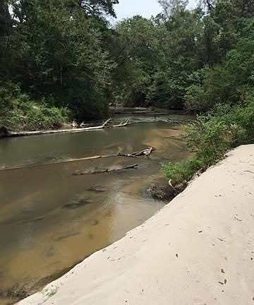 3rd image of 35490 Hwy 441