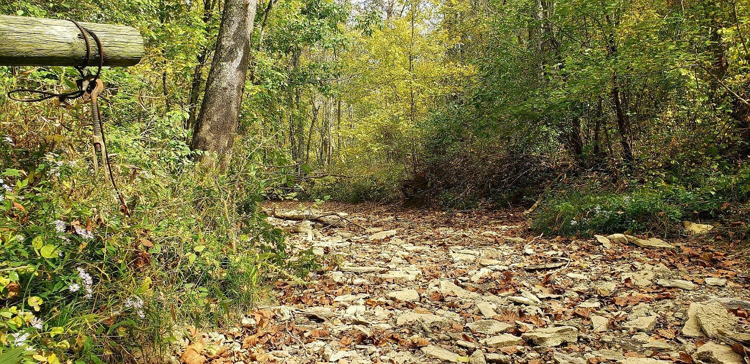 0 Robinson Hollow Rd, West Union, OH 45693 Zillow