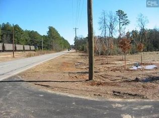 717 Chapin Rd, Chapin, SC 29036