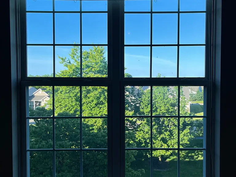 Treetops View from the Bedroom Window