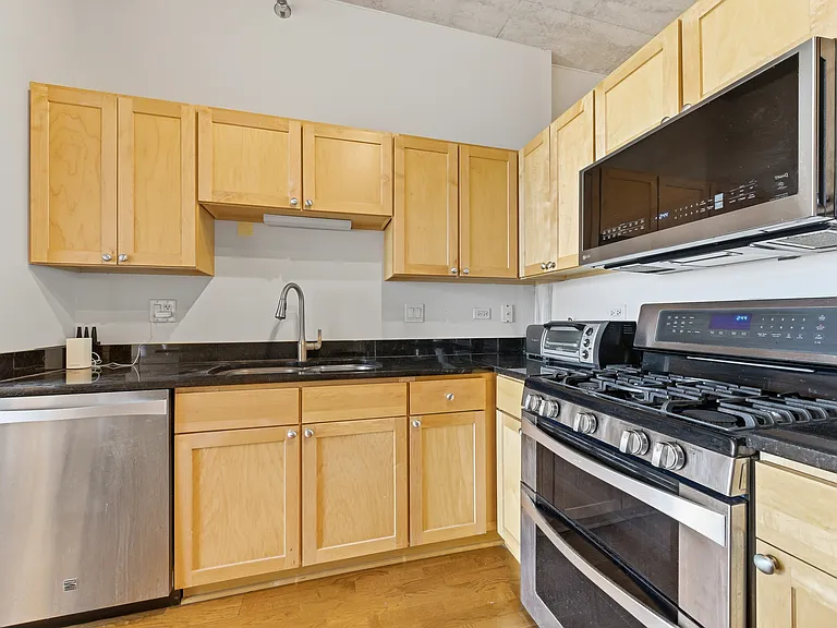 700 N Larrabee St #1013 — Photo 4